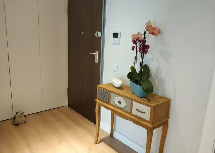 Rafaelo's 卡尔达斯达·赖尼亚